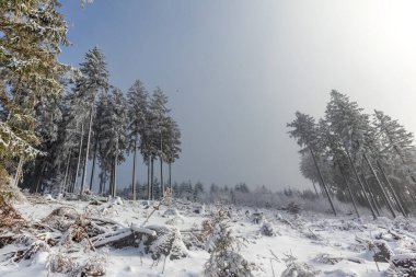 Oberschnau yakınlarındaki Thuringian Ormanı 'nın tepelerinde güzel bir kış manzarası.