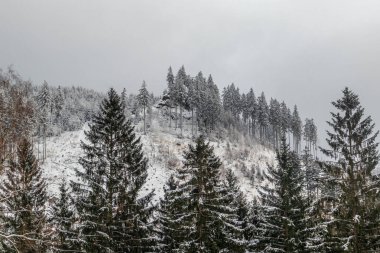 Oberschnau yakınlarındaki Thuringian Ormanı 'nın tepelerinde güzel bir kış manzarası.