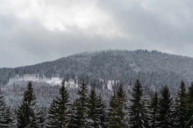 Oberschnau yakınlarındaki Thuringian Ormanı 'nın tepelerinde güzel bir kış manzarası.