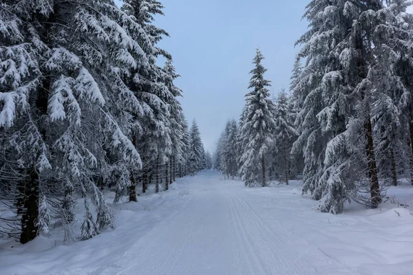 Oberschnau Yakınlarındaki Thuringian Ormanı Nın Tepelerinde Güzel Bir Kış Manzarası — Stok fotoğraf