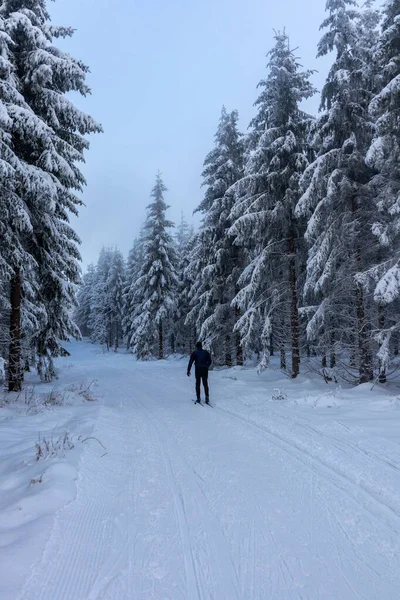 Bela Paisagem Inverno Nas Alturas Floresta Turíngia Perto Oberschnau Turíngia — Fotografia de Stock