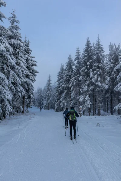 Prachtig Winterlandschap Hoogten Van Het Thüringer Woud Bij Oberschnau Thüringen — Stockfoto