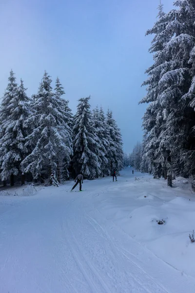 Hermoso Paisaje Invernal Las Alturas Del Bosque Turingia Cerca Oberschnau — Foto de Stock