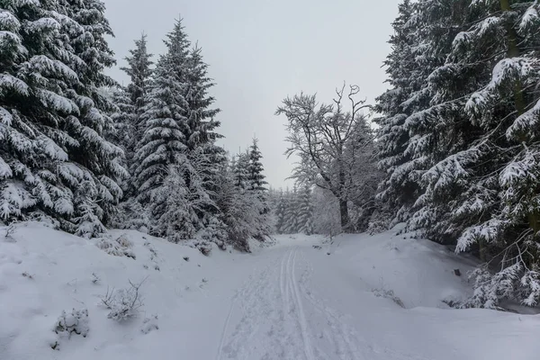 Oberschnau Yakınlarındaki Thuringian Ormanı Nın Tepelerinde Güzel Bir Kış Manzarası — Stok fotoğraf