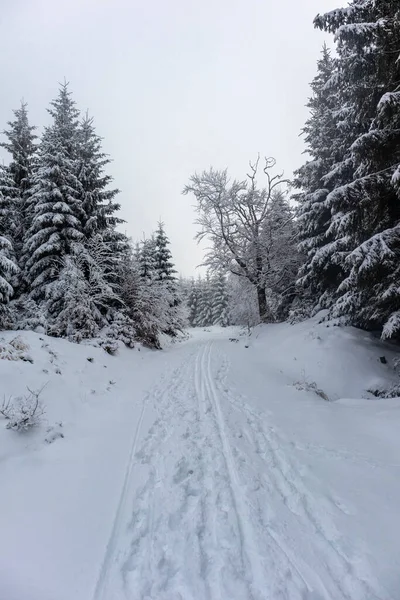 Oberschnau Thuringia Thuringian 아름다운 — 스톡 사진