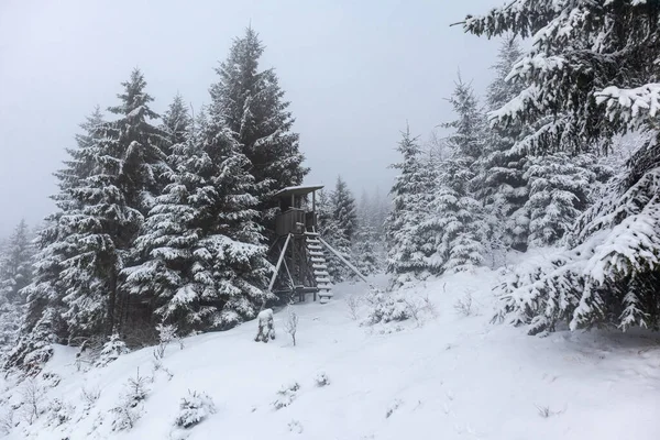 Hermoso Paisaje Invernal Las Alturas Del Bosque Turingia Cerca Oberschnau — Foto de Stock