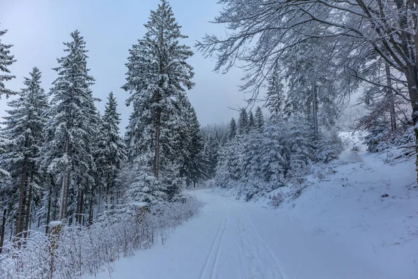 Hermoso Paisaje Invernal Las Alturas Del Bosque Turingia Cerca Oberschnau —  Fotos de Stock