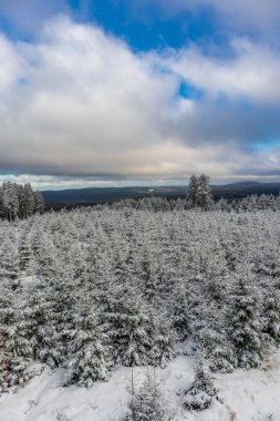 Rennsteig boyunca ilk kış yürüyüşü en güzel gün batımında - Almanya