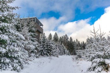 Rennsteig boyunca ilk kış yürüyüşü en güzel gün batımında - Almanya