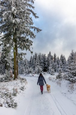 Rennsteig boyunca ilk kış yürüyüşü en güzel gün batımında - Almanya