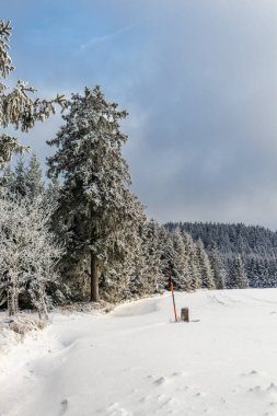 Rennsteig boyunca ilk kış yürüyüşü en güzel gün batımında - Almanya