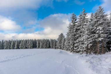 Rennsteig boyunca ilk kış yürüyüşü en güzel gün batımında - Almanya