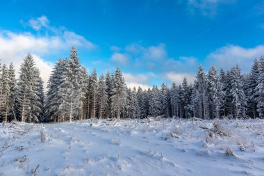 Rennsteig boyunca ilk kış yürüyüşü en güzel gün batımında - Almanya