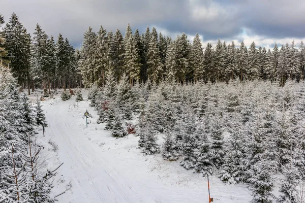 Eerste Winterwandeling Langs Rennsteig Mooiste Zonsondergang Duitsland — Stockfoto