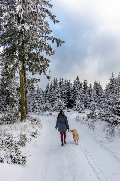 Första Vinterpromenaden Längs Rennsteig Den Vackraste Solnedgången Tyskland — Stockfoto