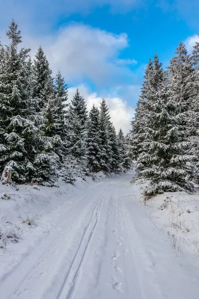 First Winter Walk Rennsteig Most Beautiful Sunset Germany — Stock Photo, Image