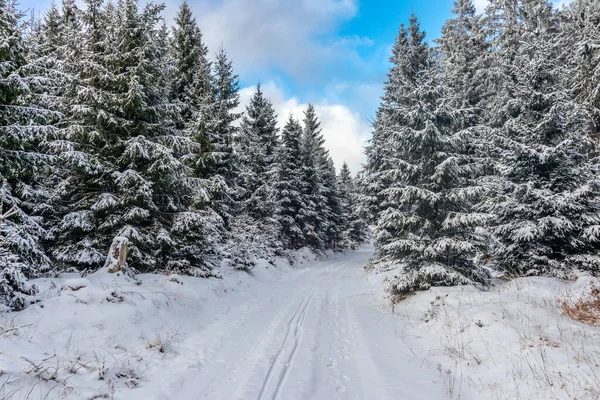 Primeiro Passeio Inverno Longo Rennsteig Pôr Sol Mais Bonito Alemanha — Fotografia de Stock
