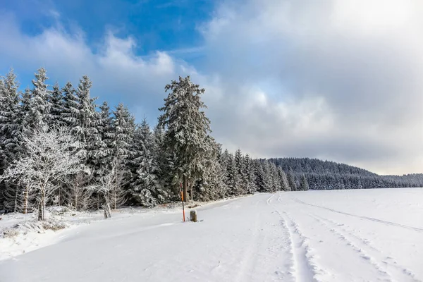 Первая Зимняя Прогулка Самому Красивому Закату Германии — стоковое фото