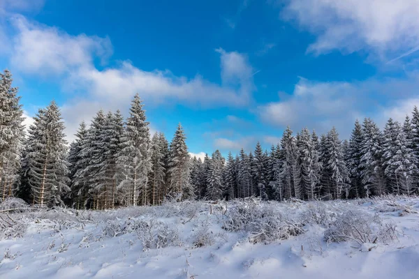 Πρώτη Χειμερινή Βόλτα Κατά Μήκος Της Rennsteig Στο Πιο Όμορφο — Φωτογραφία Αρχείου