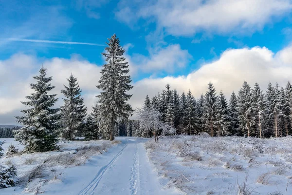 Primer Paseo Invierno Largo Del Rennsteig Puesta Sol Más Hermosa —  Fotos de Stock