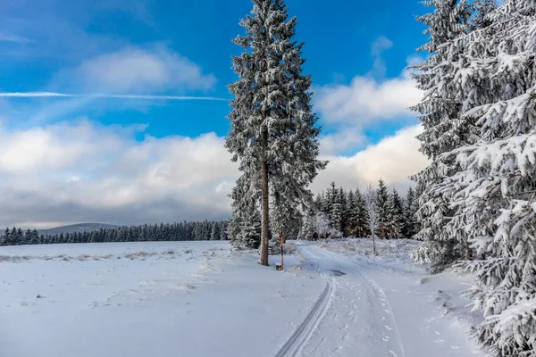 Prima Passeggiata Invernale Lungo Rennsteig Nel Tramonto Più Bello Germania — Foto Stock