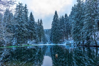 Rennsteig boyunca ilk kış yürüyüşü en güzel gün batımında - Almanya