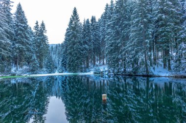 Rennsteig boyunca ilk kış yürüyüşü en güzel gün batımında - Almanya