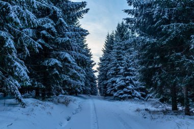 Rennsteig boyunca ilk kış yürüyüşü en güzel gün batımında - Almanya