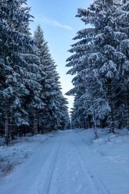 Rennsteig boyunca ilk kış yürüyüşü en güzel gün batımında - Almanya