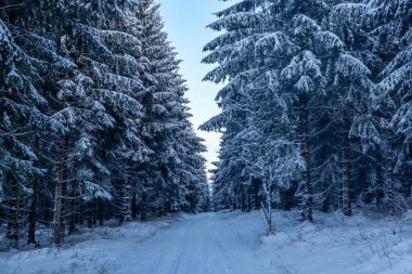Rennsteig boyunca ilk kış yürüyüşü en güzel gün batımında - Almanya