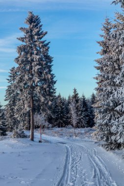 Rennsteig boyunca ilk kış yürüyüşü en güzel gün batımında - Almanya
