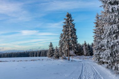Rennsteig boyunca ilk kış yürüyüşü en güzel gün batımında - Almanya