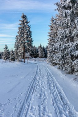 Rennsteig boyunca ilk kış yürüyüşü en güzel gün batımında - Almanya