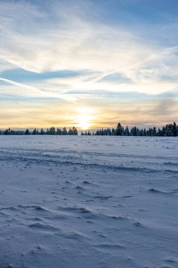 Rennsteig boyunca ilk kış yürüyüşü en güzel gün batımında - Almanya
