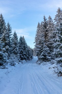 Rennsteig boyunca ilk kış yürüyüşü en güzel gün batımında - Almanya
