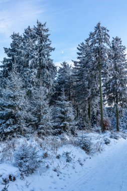 Rennsteig boyunca ilk kış yürüyüşü en güzel gün batımında - Almanya