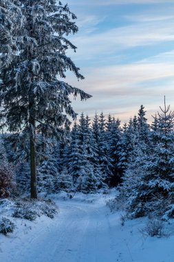 Rennsteig boyunca ilk kış yürüyüşü en güzel gün batımında - Almanya