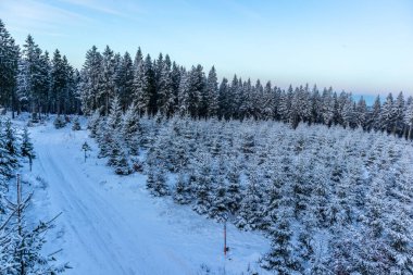 Rennsteig boyunca ilk kış yürüyüşü en güzel gün batımında - Almanya