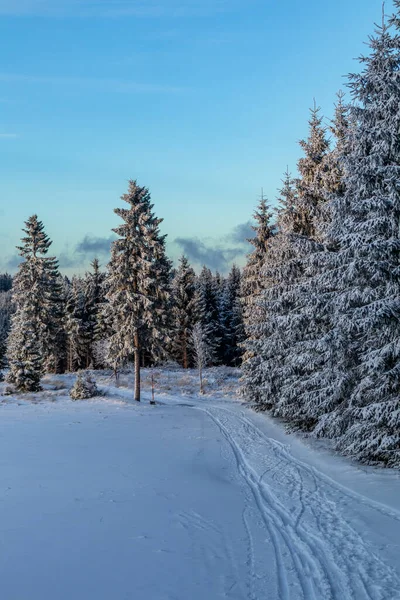 Erste Winterwanderung Rennsteig Bei Schönstem Sonnenuntergang Deutschland — Stockfoto