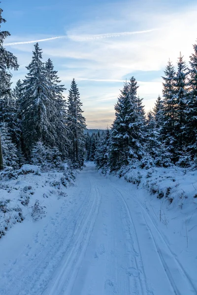 Prima Plimbare Iarnă Lungul Rennsteig Ului Cel Mai Frumos Apus — Fotografie, imagine de stoc