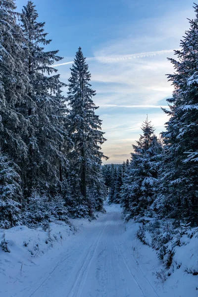 Erste Winterwanderung Rennsteig Bei Schönstem Sonnenuntergang Deutschland — Stockfoto