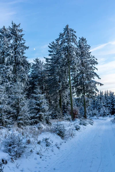 First Winter Walk Rennsteig Most Beautiful Sunset Germany — Stock Photo, Image