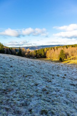 Almanya 'da Steinbach-Hallenberg yakınlarındaki Rennsteig boyunca gün batımı yürüyüşü