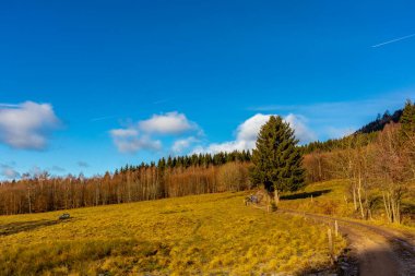 Almanya 'da Steinbach-Hallenberg yakınlarındaki Rennsteig boyunca gün batımı yürüyüşü