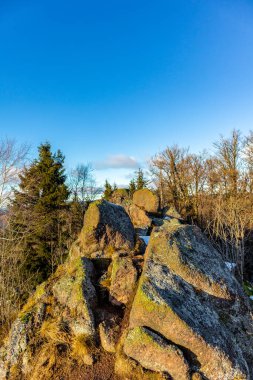 Almanya 'da Steinbach-Hallenberg yakınlarındaki Rennsteig boyunca gün batımı yürüyüşü