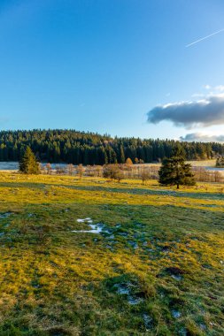 Almanya 'da Steinbach-Hallenberg yakınlarındaki Rennsteig boyunca gün batımı yürüyüşü