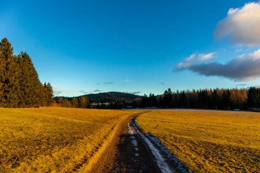 Almanya 'da Steinbach-Hallenberg yakınlarındaki Rennsteig boyunca gün batımı yürüyüşü