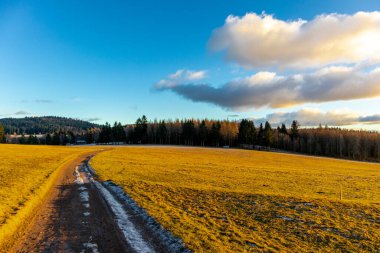 Almanya 'da Steinbach-Hallenberg yakınlarındaki Rennsteig boyunca gün batımı yürüyüşü