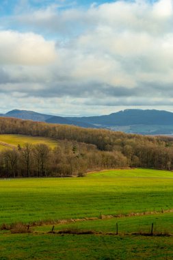 Mansbach yakınlarındaki güzel Vorderrhn 'de kış yürüyüşü Hessia