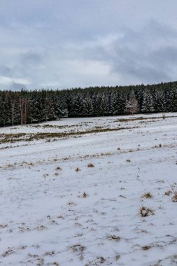 Thüringen Ormanı 'nın zirvesinde Struth-Helmershof - Thüringen yakınlarında kış yürüyüşü